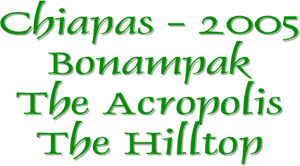 Chiapas - 2005
Bonampak
The Acropolis
The Hilltop