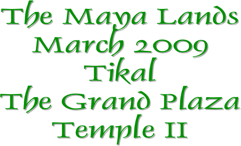 The Maya Lands
March 2009
Tikal
The Grand Plaza
Temple II