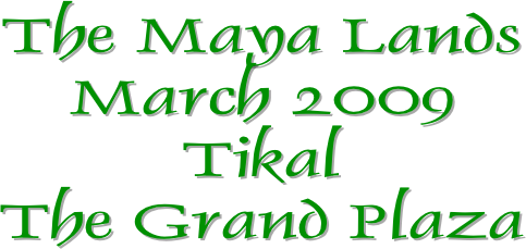 The Maya Lands
March 2009
Tikal
The Grand Plaza