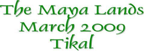 The Maya Lands
March 2009
Tikal