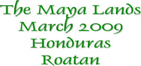The Maya Lands
March 2009
Honduras
Roatan