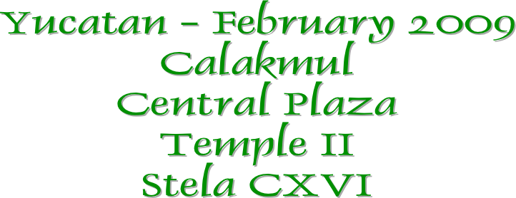 Yucatan - February 2009
Calakmul
Central Plaza
Temple II
Stela CXVI