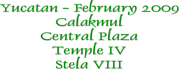Yucatan - February 2009
Calakmul
Central Plaza
Temple IV
Stela VIII