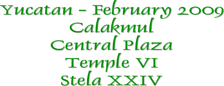 Yucatan - February 2009
Calakmul
Central Plaza
Temple VI
Stela XXIV